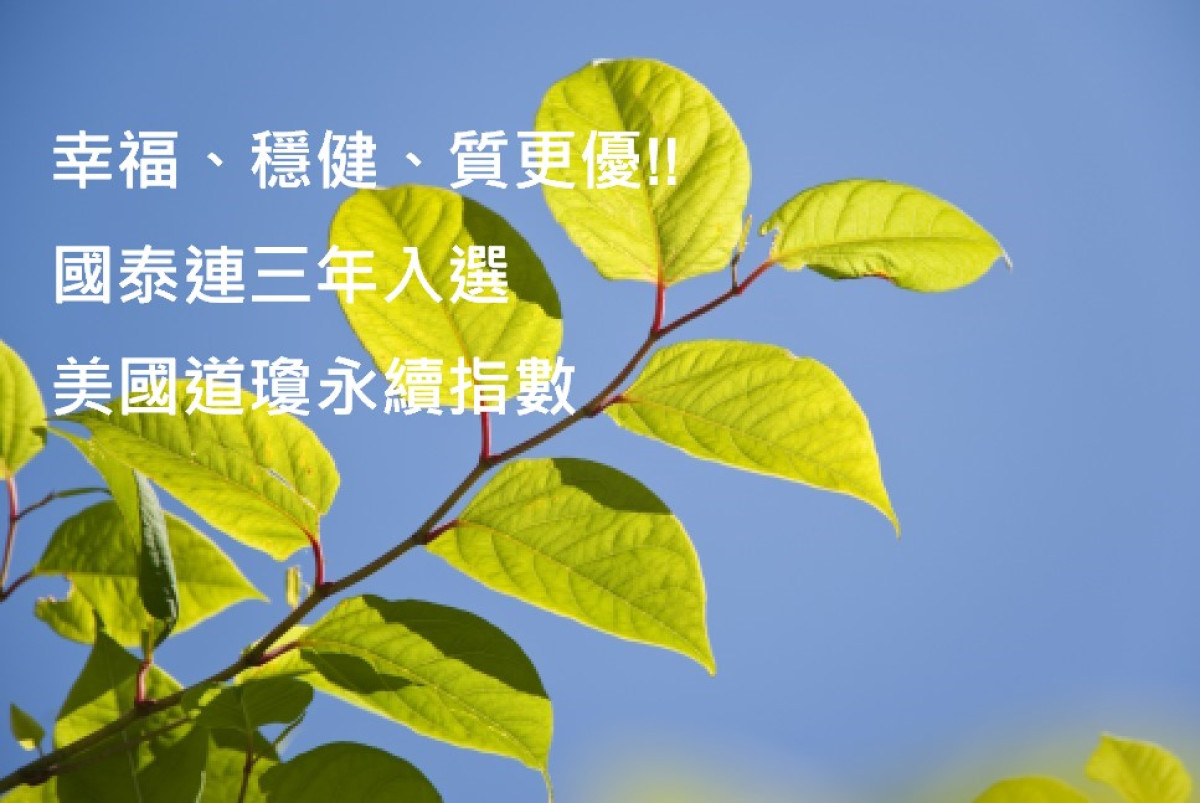 幸福、穩健、質更優!!  國泰連三年入選美國道瓊永續指數