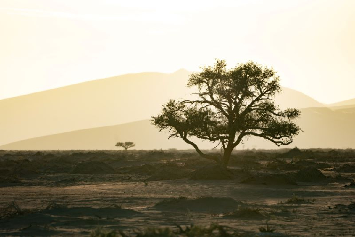 升溫突破1.2°C 全球氣候報告：2020年高溫、乾旱、新冠肺炎打擊5000萬人