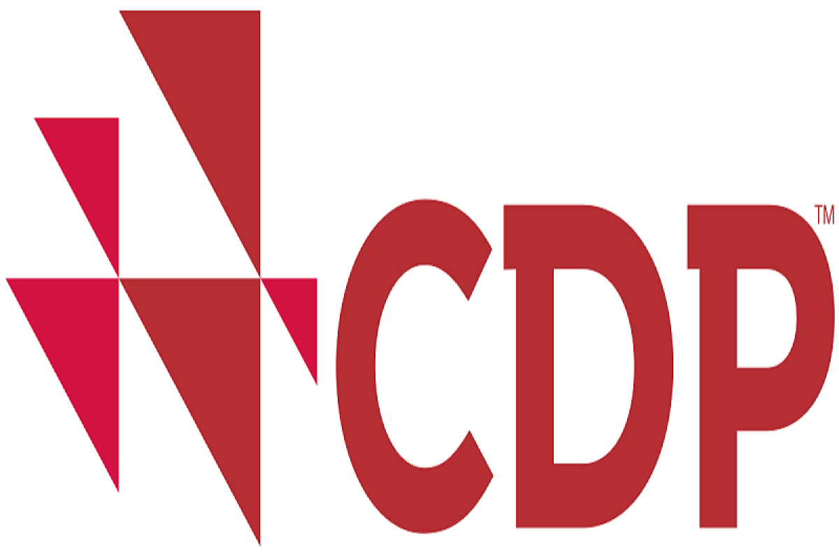 2018 CDP 第一階段成績公布
