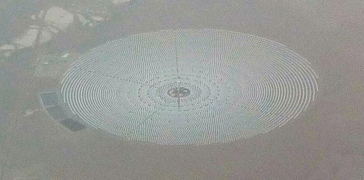 設置地點不當 太陽能板影響生物棲息地