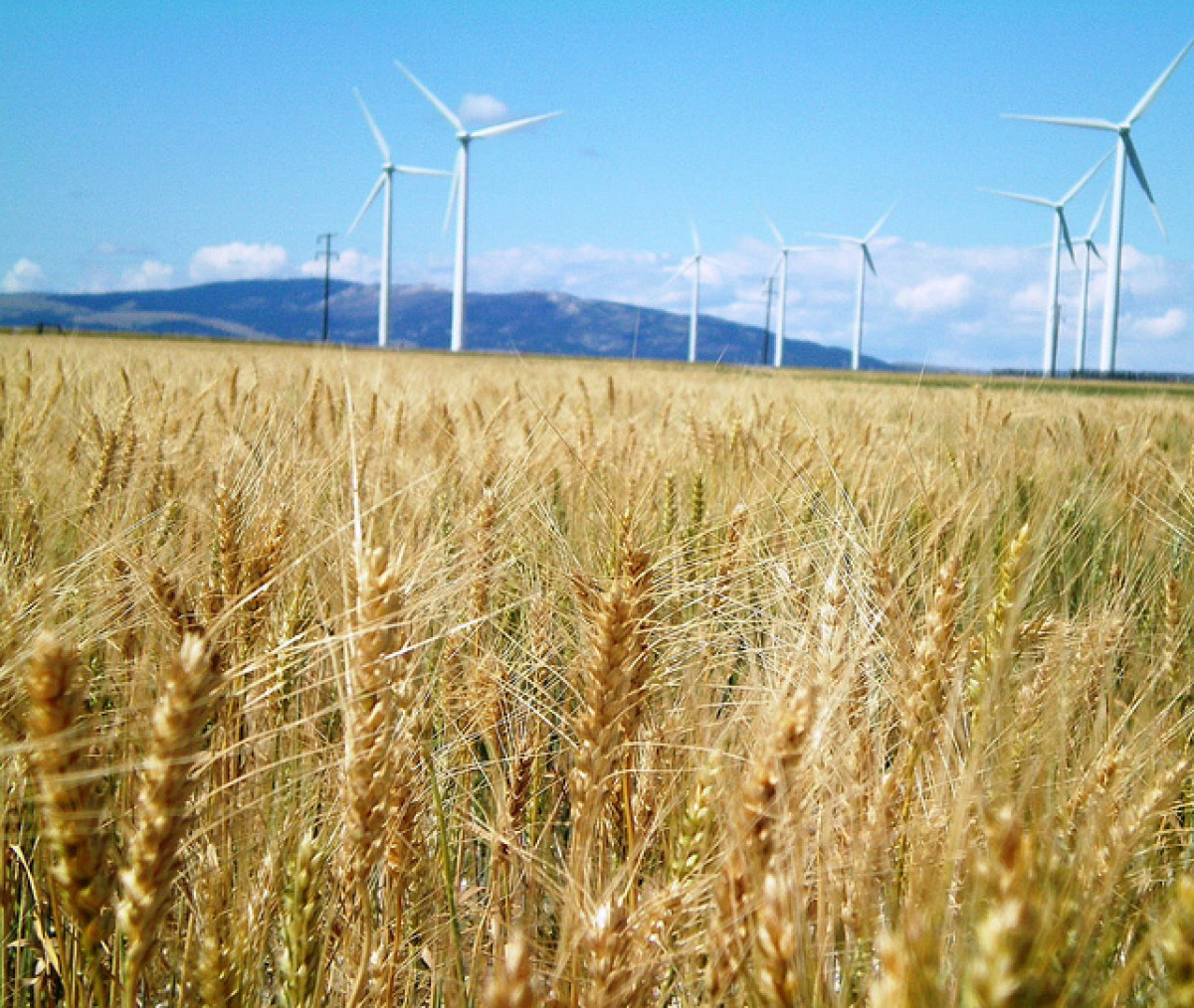 2015年美國發電總量13%以上來自再生能源