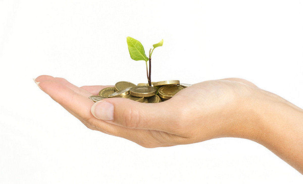 財報不夠看  金融投資設定綠色標準