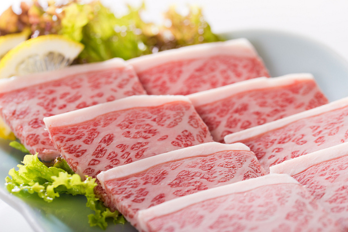 丹麥為對抗氣候變遷，擬課「牛肉稅」