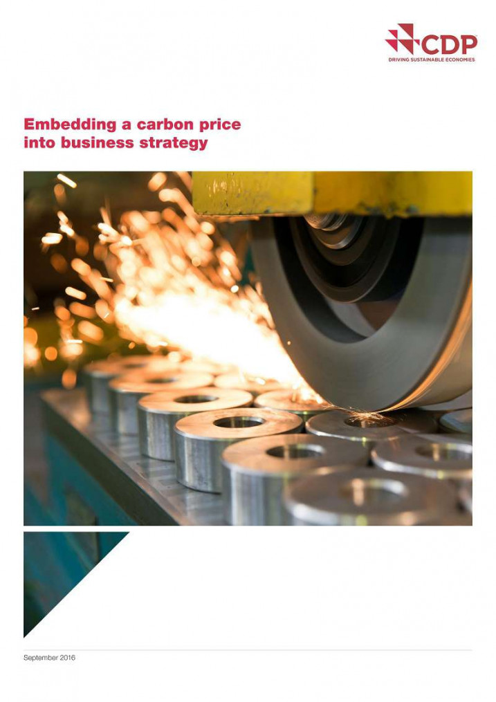 2016 CDP(Carbon Disclosure Project)報告重點整理