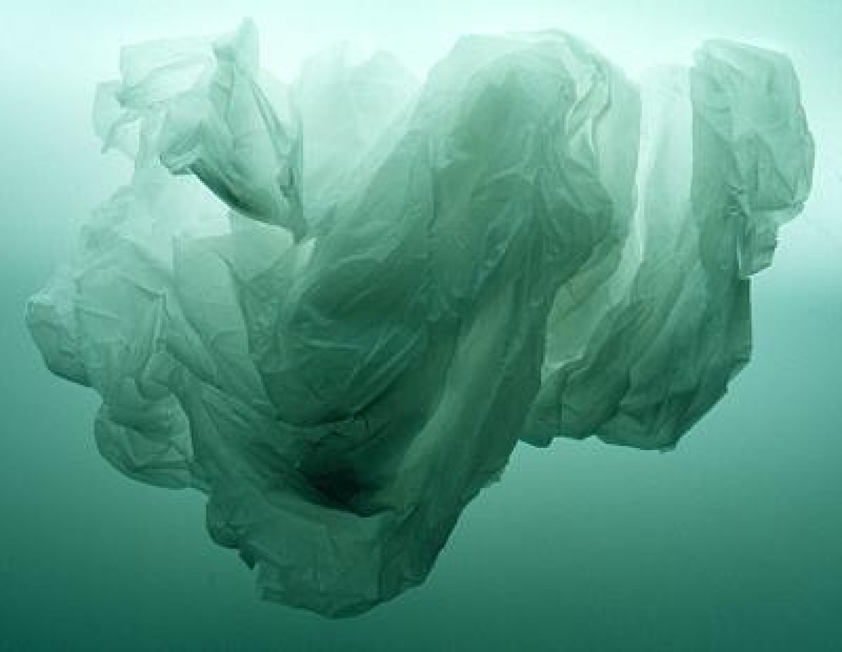 研究：北極海洋漂著3000億件塑膠垃圾