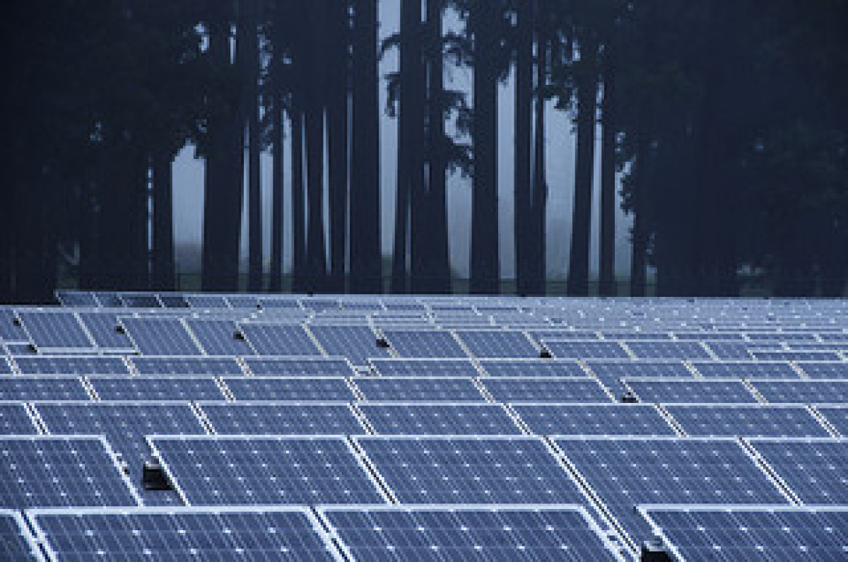 2050年太陽能將成為全球主力發電來源