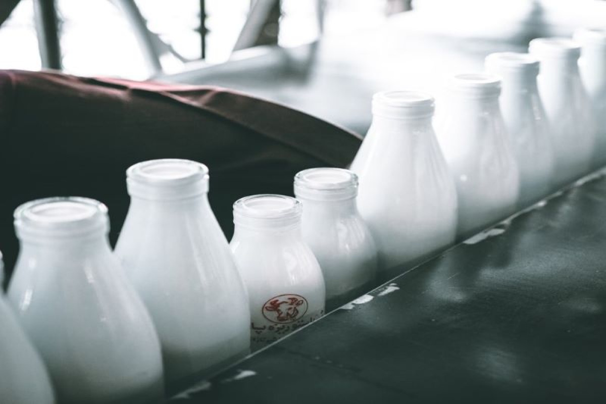 最新研究：全球前35大肉品畜牧業，碳排放揭露不完整！