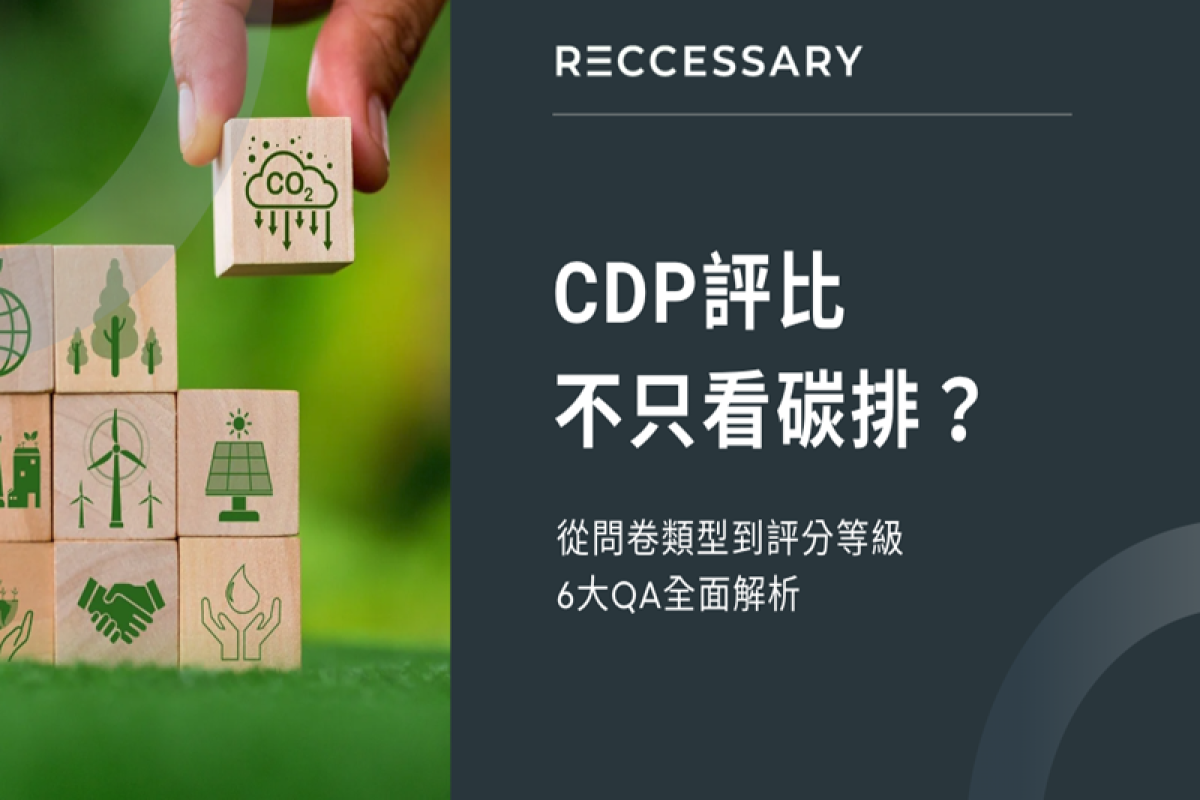 CDP評比不只看碳排？從問卷類型到評分等級，6大QA全面解析
