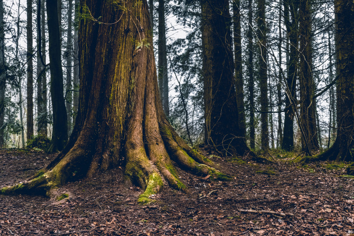 進階版SRI? 介紹你一個新概念「根本因素投資」RCI
