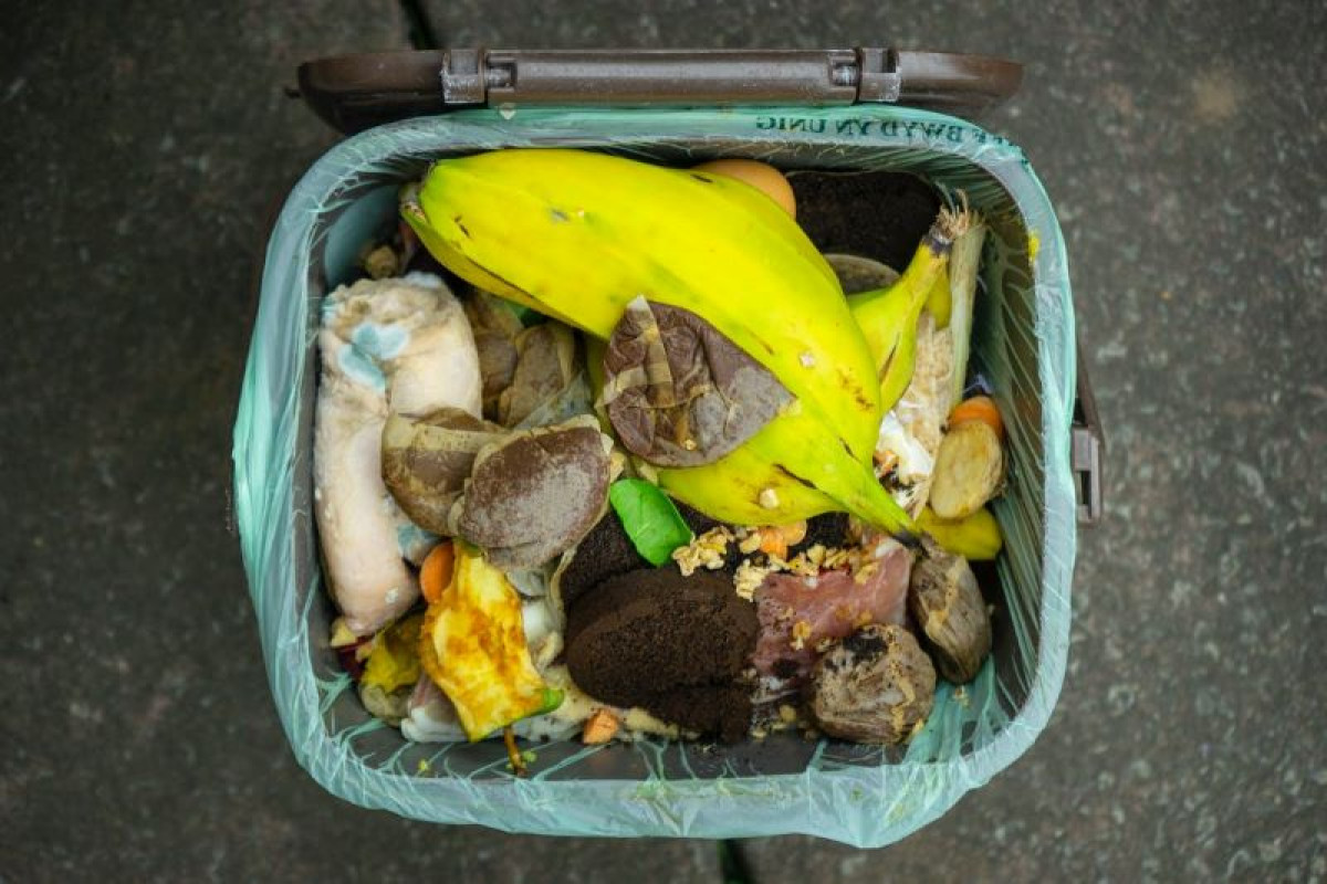 全球食物浪費翻倍 聯合國報告：每年被丟棄糧食逼近10億噸