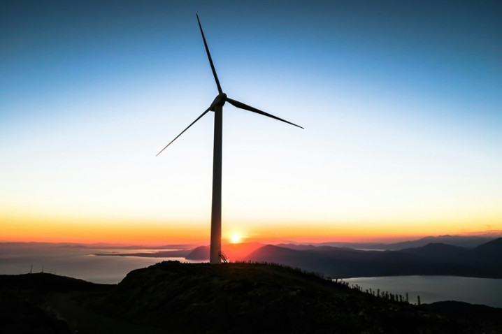 ‘Freedom from fossil power’: Wind and solar electricity grew to all-time high in first half of 2024