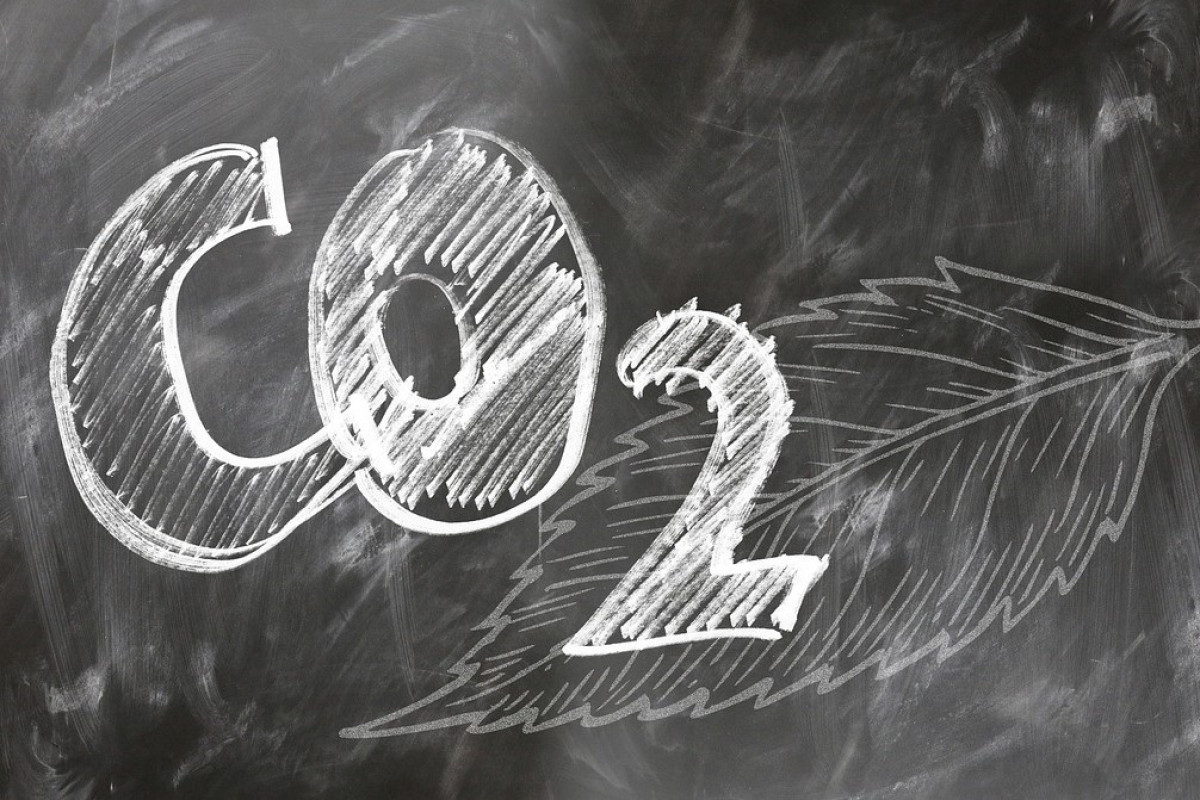 為應對全球氣候變化，馬來西亞證券交易所於2022年12月9日正式成立「大馬碳交易所」(BCX)