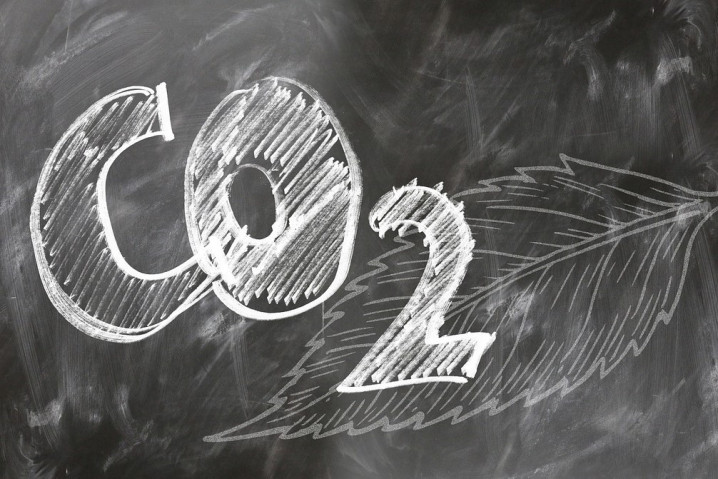 為應對全球氣候變化，馬來西亞證券交易所於2022年12月9日正式成立「大馬碳交易所」(BCX)