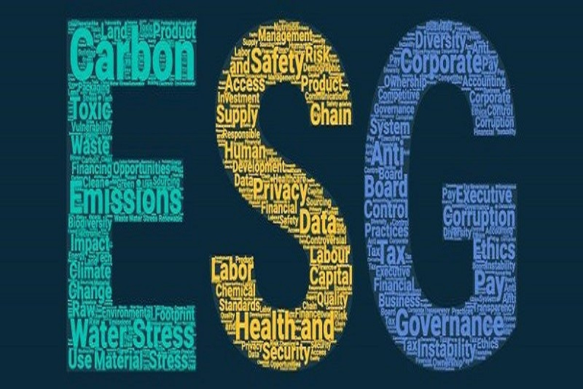哪些ESG議題最重要？MSCI用2種風險教你衡量