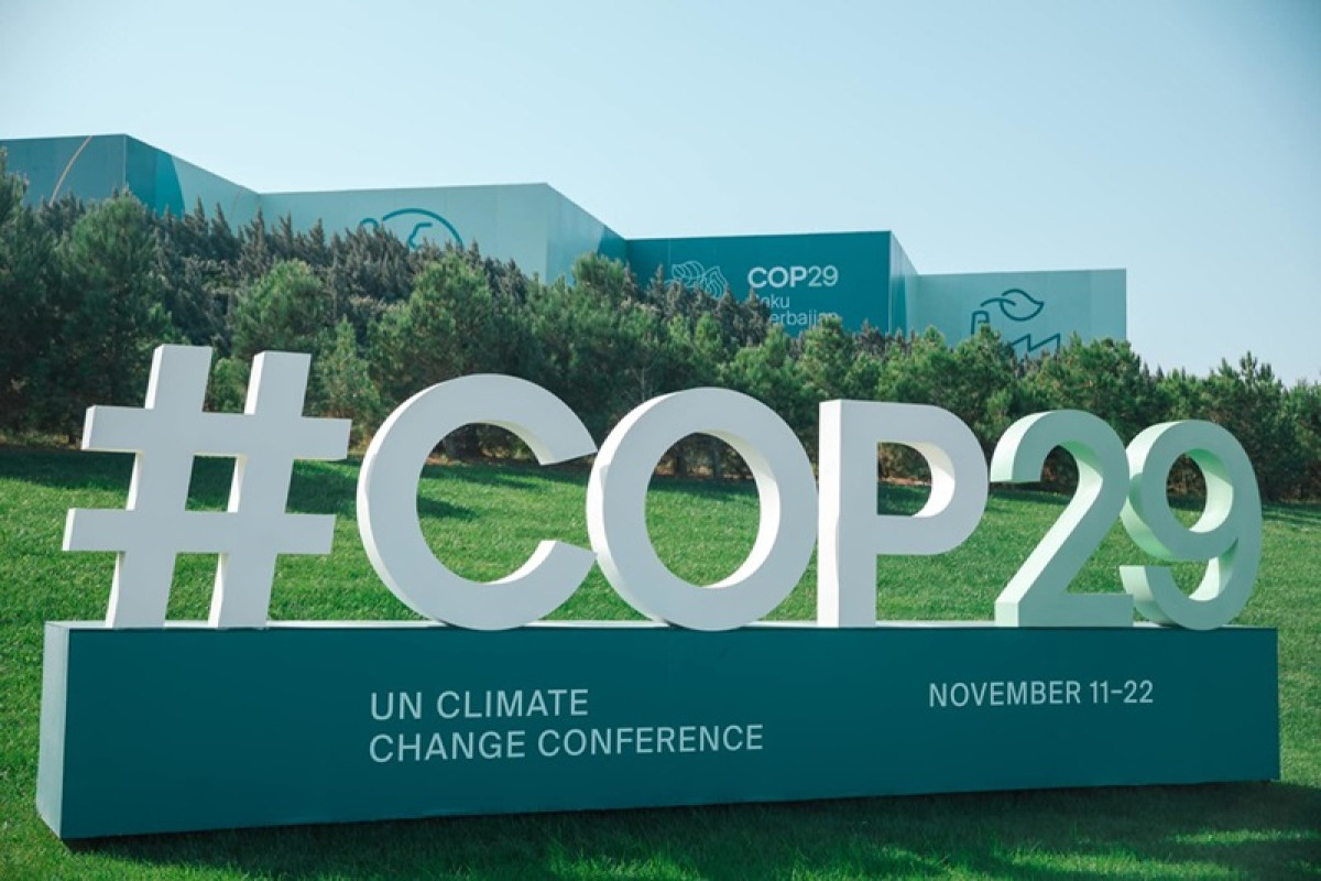 【COP29】會前就意見分歧！NCQG氣候融資計畫是什麼？新加坡為何拒絕出資？