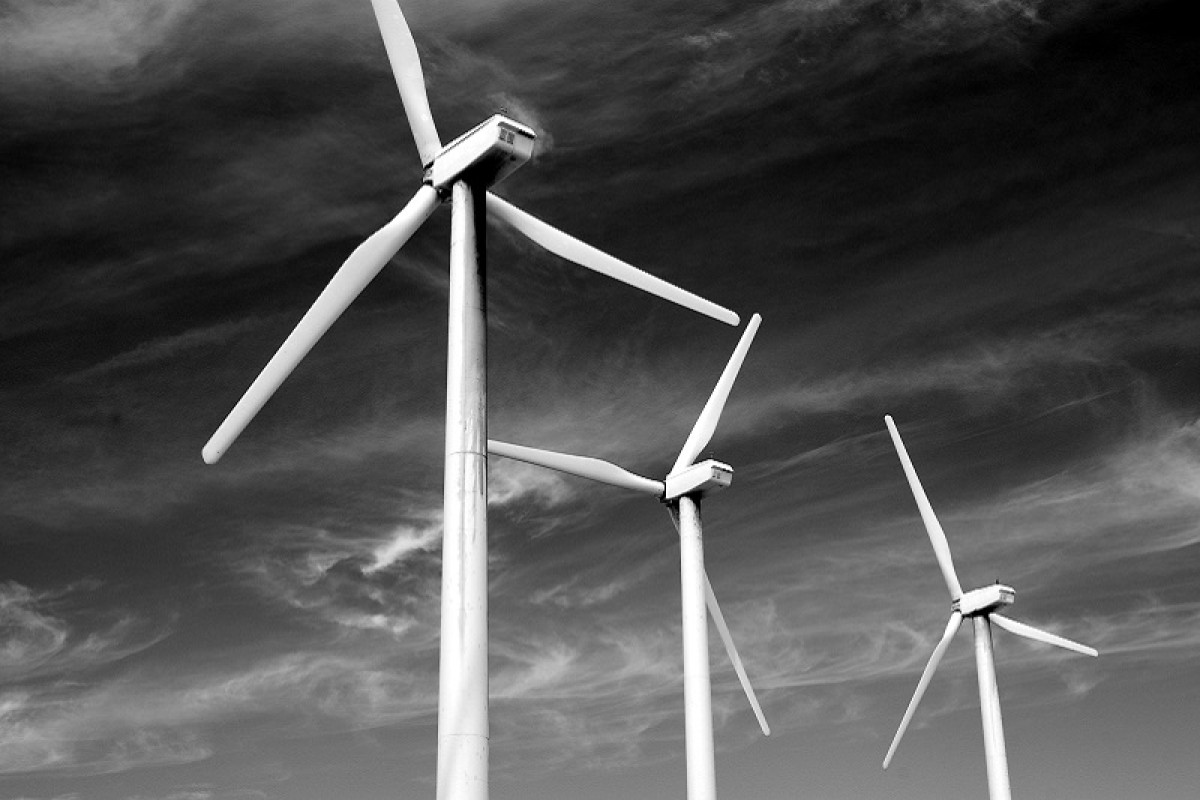 IEA：再生能源對武漢肺炎適應力最佳 將是滿足2020需求增長的唯一能源