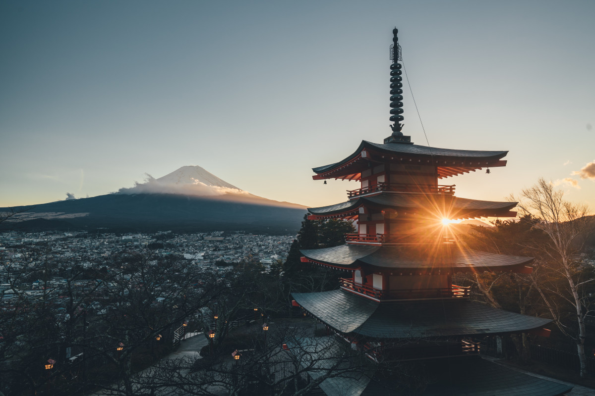 種樹如何換碳權？ 從日本碳抵換制度看森林永續治理